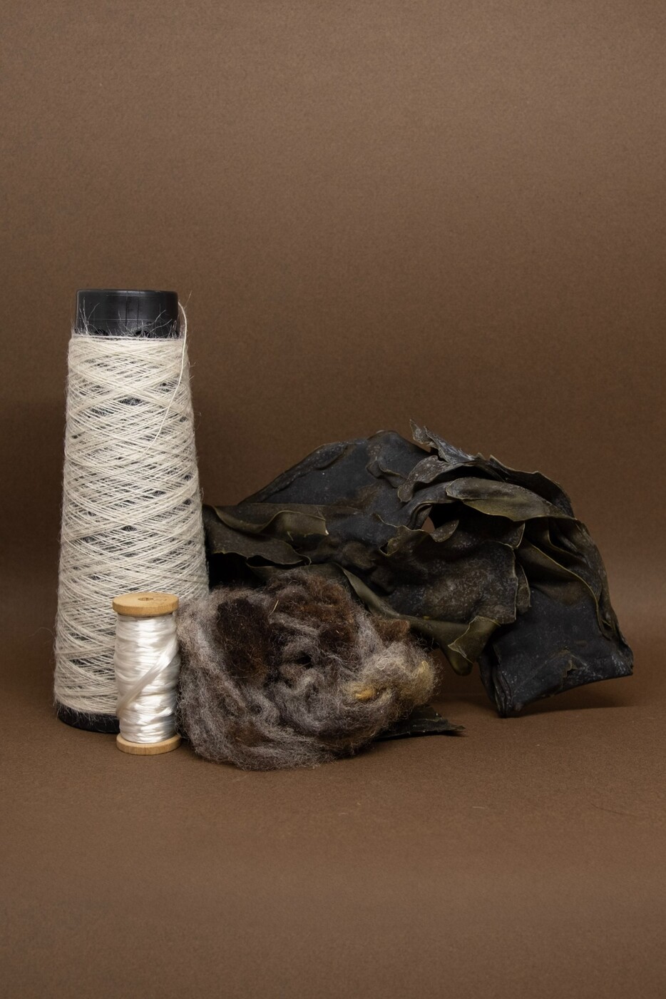 Bobines Swalgue, fibres et algues sur fond brun