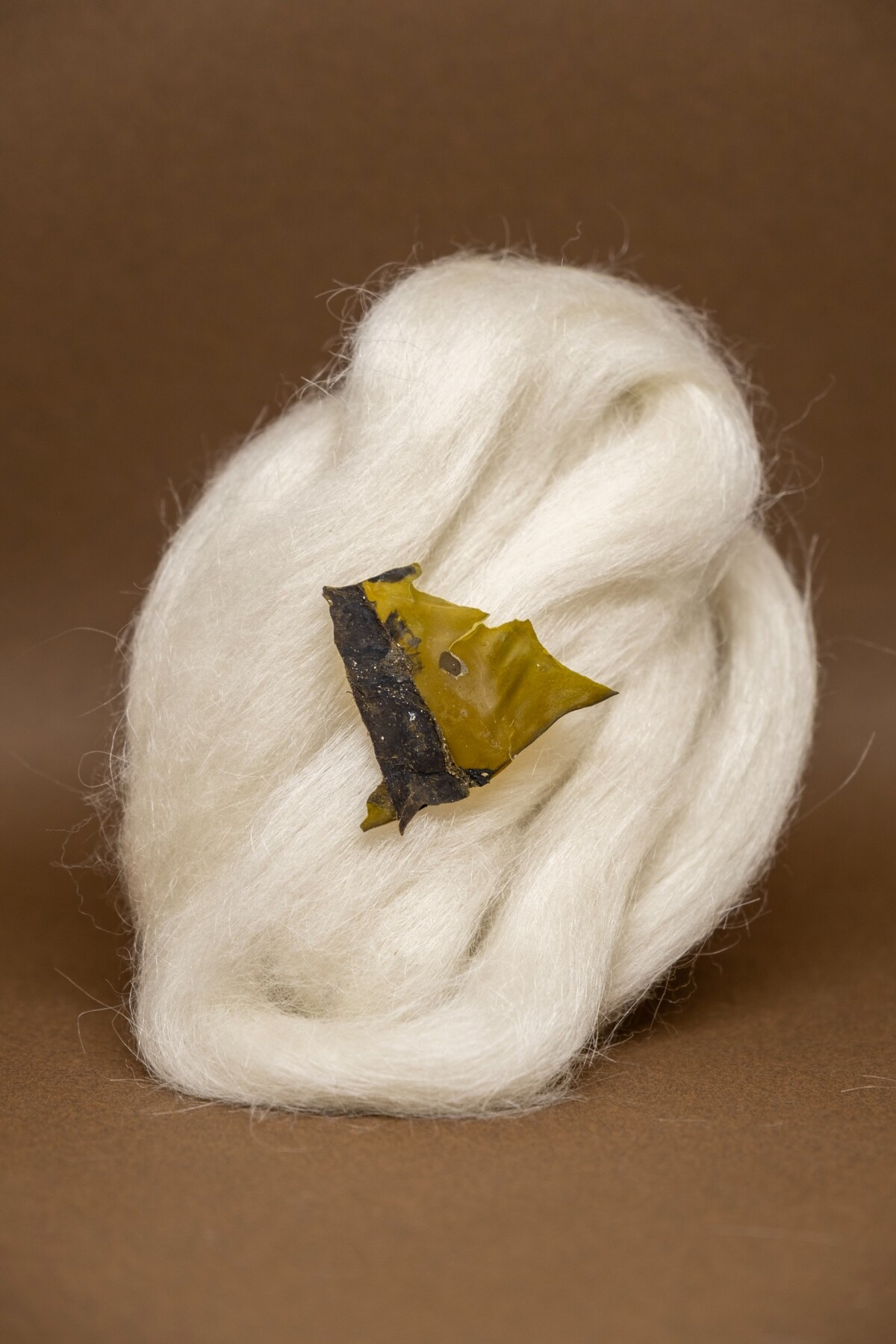 Fibre blanche Swalgue et algue